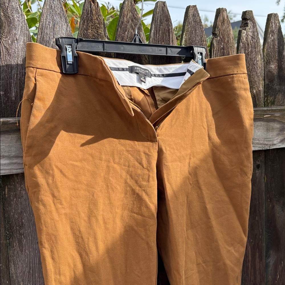 Ann Taylor Size 8 Devlin Fit Caramel Color Cotton Pants. View 2